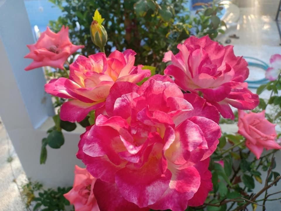 Ekman Garden Resort Sichon Dış mekan fotoğraf